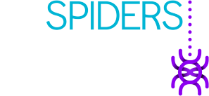 Viralbamboo was shortlisted for 3 eirSpiders awards from 2016-2017